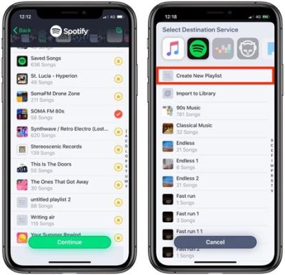 can you transfer playlists from apple music to spotify? how to manage your music library across different platforms effectively