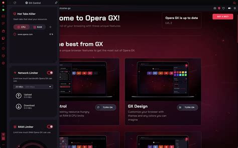 How to Zoom in Opera GX: A Detailed Insight into the Browser's Features and More