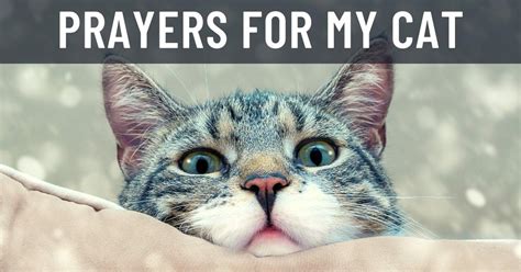 Who to Give Prayer Books to and Why Cats Might Be the Best Listeners